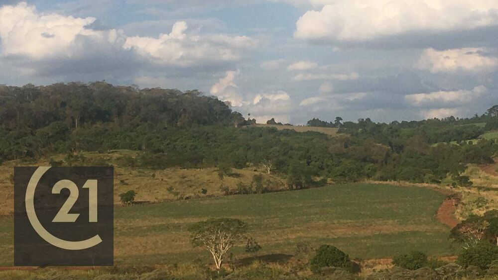 Fazenda, 137 hectares - Foto 4