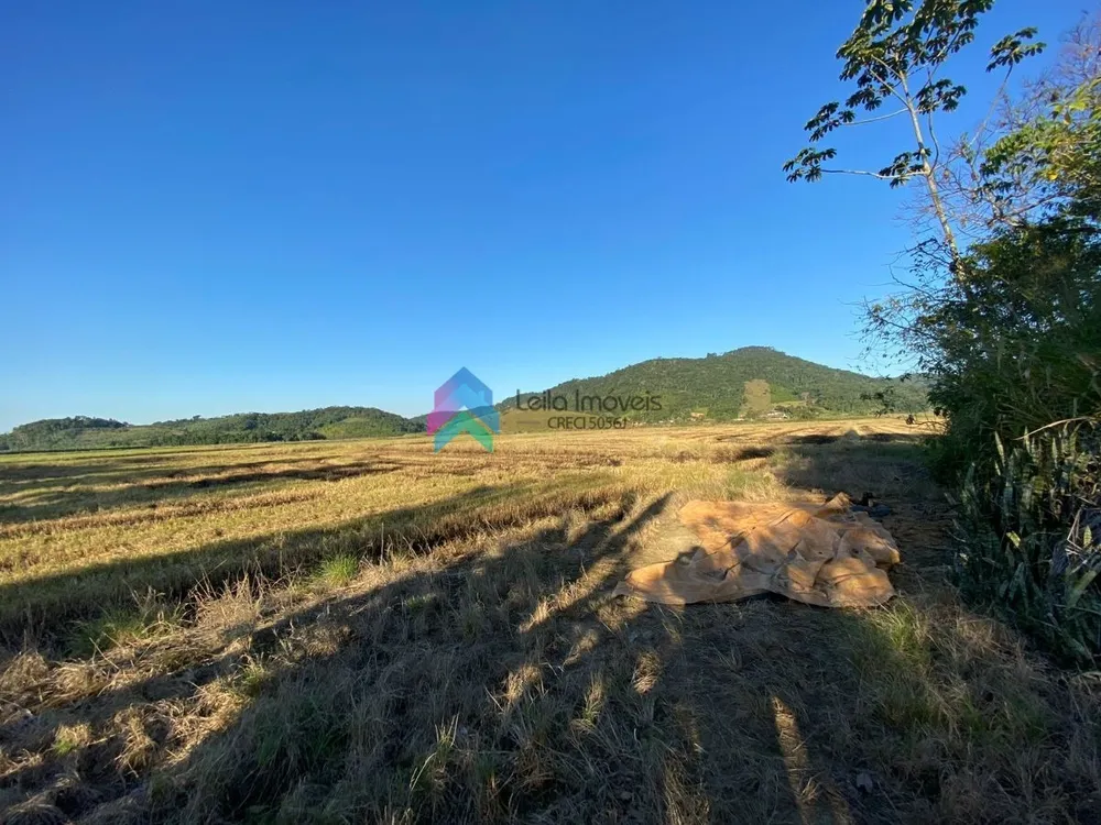 Terreno, 8 hectares - Foto 7