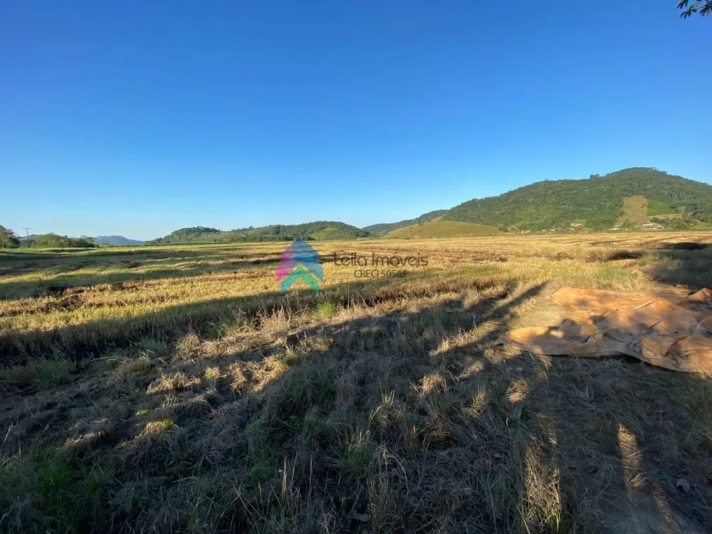 Terreno, 8 hectares - Foto 6