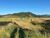 Terreno, 8 hectares - Foto 4