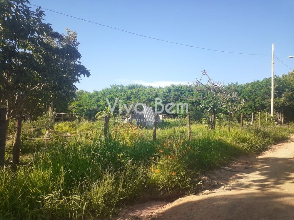 Sítio, 3 quartos, 4300 m² - Foto 3