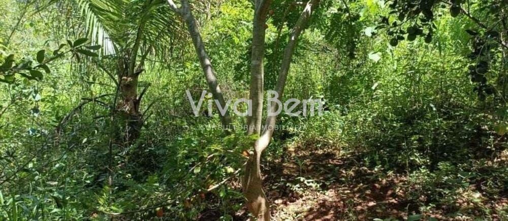 Chácara, 3950 m² - Foto 4