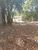 Terreno, 375 m² - Foto 3
