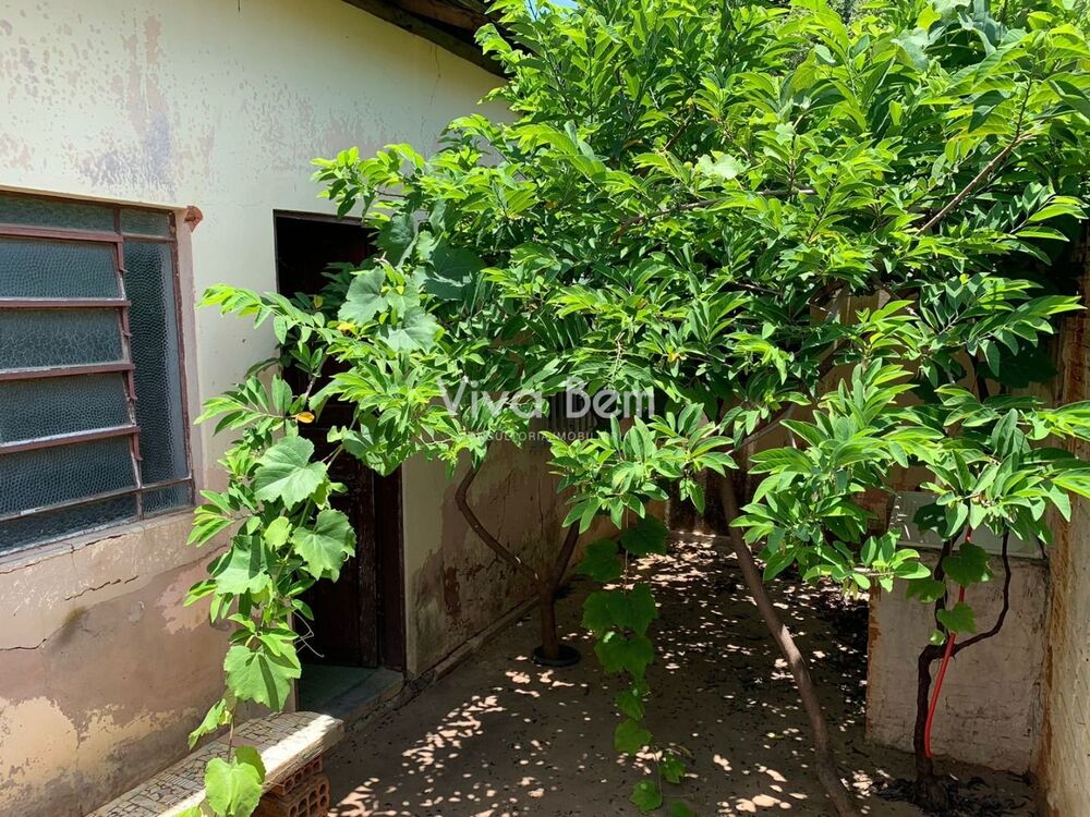 Casa, 4 quartos, 138 m² - Foto 13