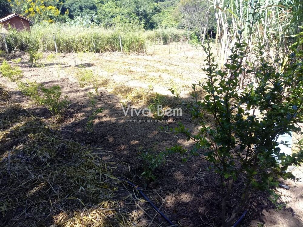 Chácara à venda com 1 quarto, 3400 - Foto 4