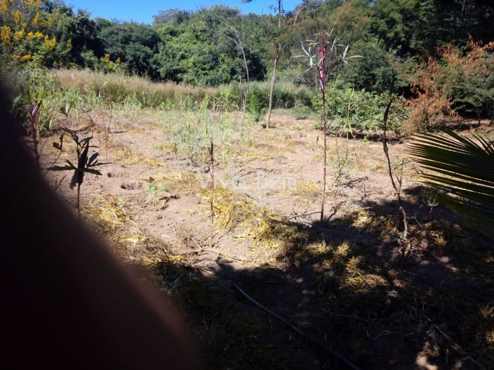Chácara à venda com 1 quarto, 3400 - Foto 6