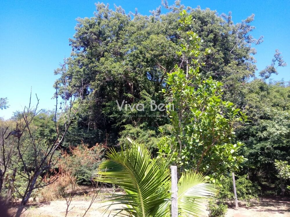 Chácara à venda com 1 quarto, 3400 - Foto 3