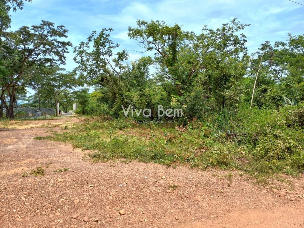 Chácara, 5000 m² - Foto 3