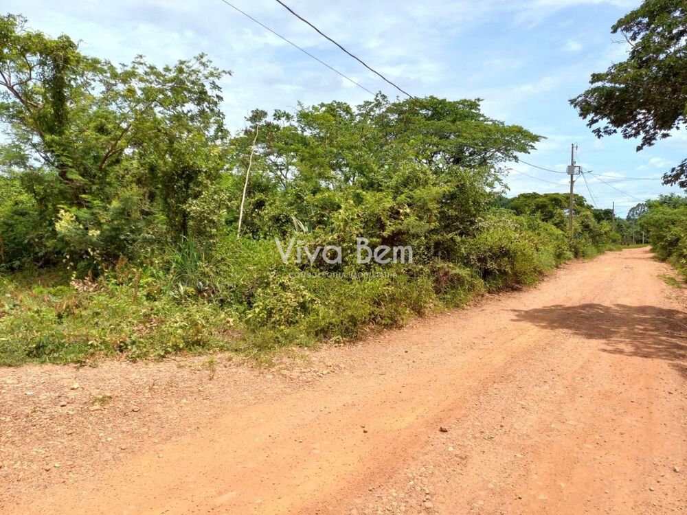 Chácara, 5000 m² - Foto 4