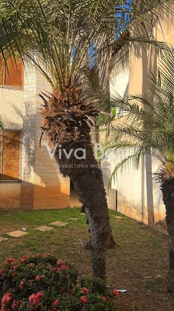 Casa, 3 quartos, 300 m² - Foto 4