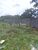 Terreno, 336 m² - Foto 4