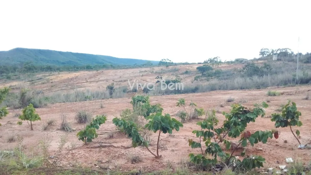 Chácara, 2500 m² - Foto 10