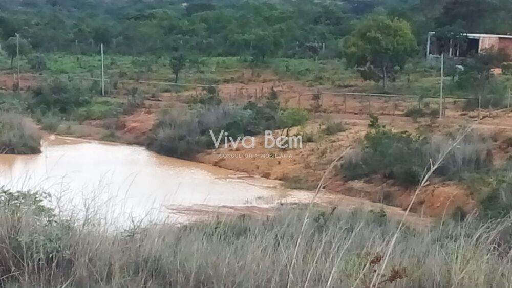 Chácara, 2500 m² - Foto 4