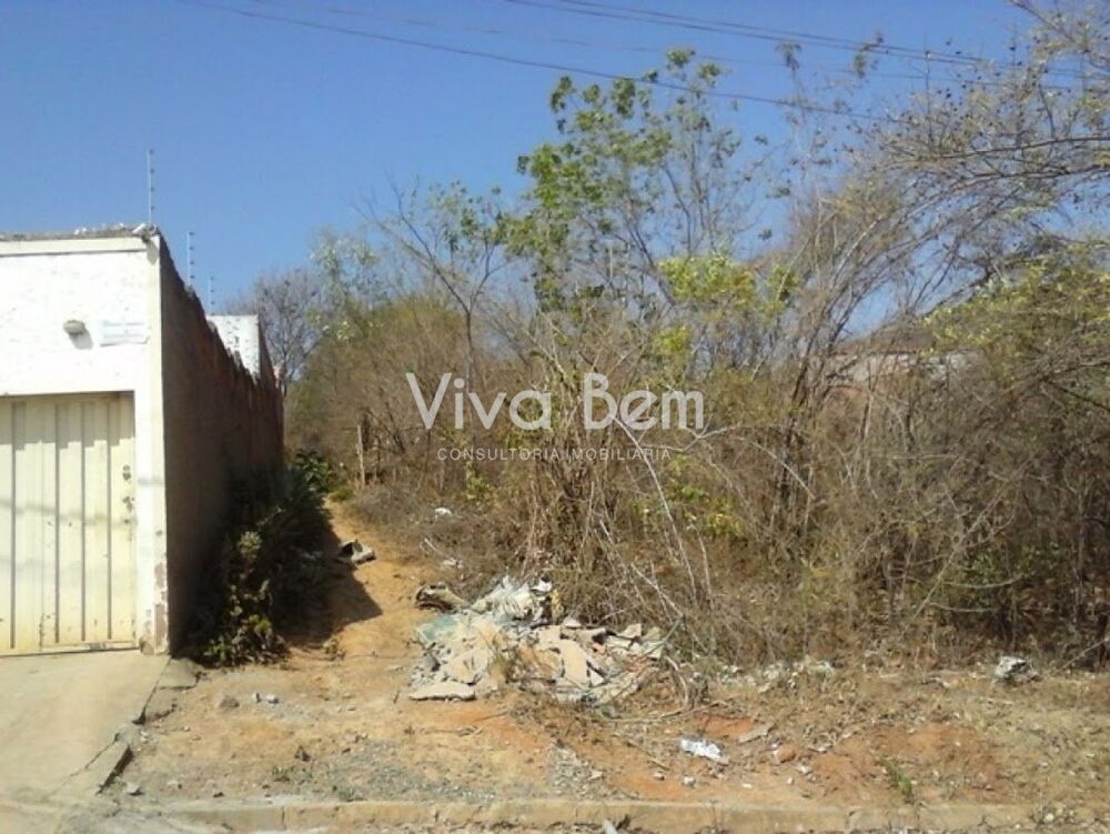 Terreno à venda, 250 - Foto 7