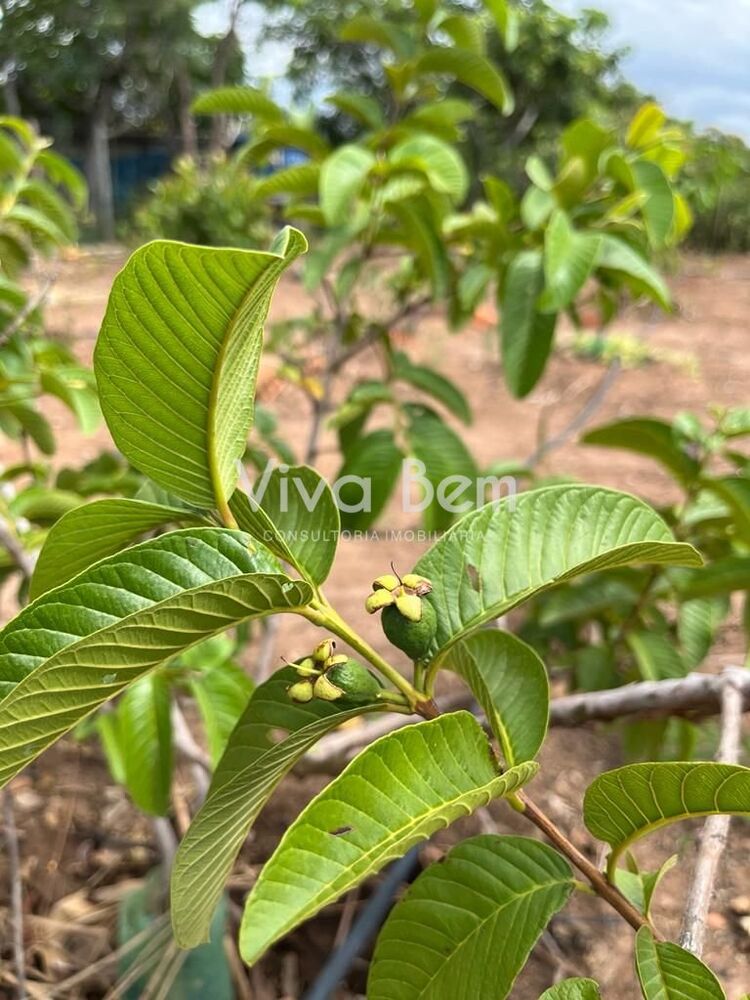 Terreno, 500 m² - Foto 4