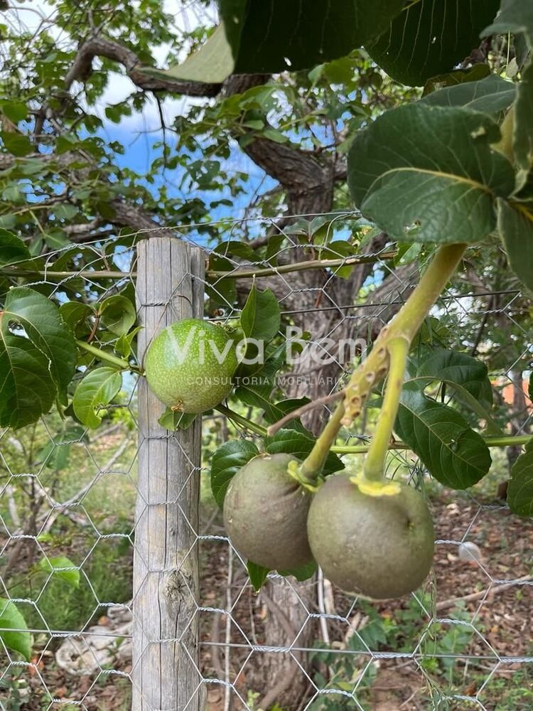 Terreno, 500 m² - Foto 5