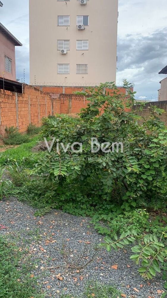 Terreno à venda, 270 - Foto 4