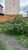 Terreno, 270 m² - Foto 4