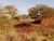 Terreno, 360 m² - Foto 7