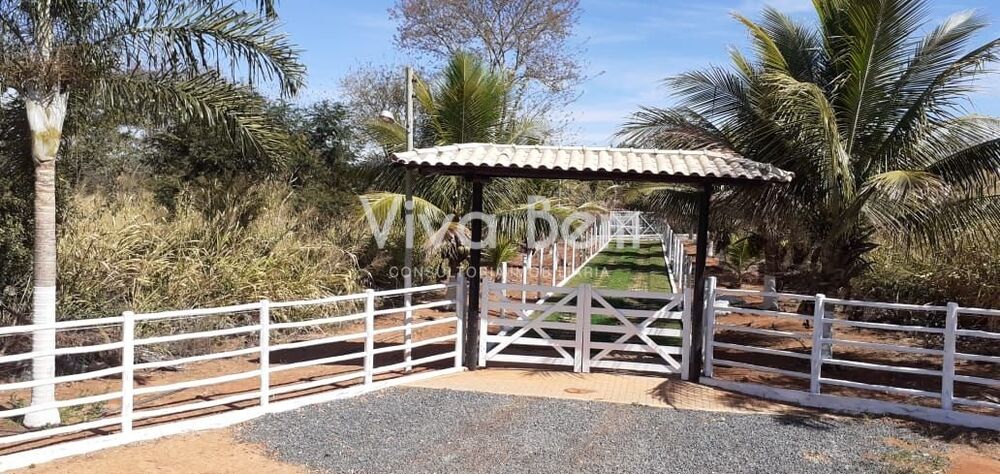 Sítio, 2 hectares - Foto 13