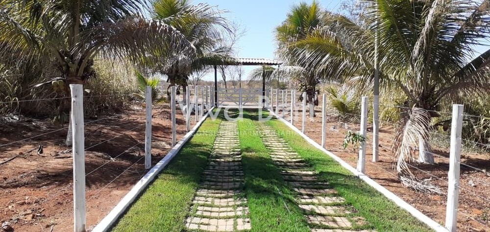 Sítio, 2 hectares - Foto 7