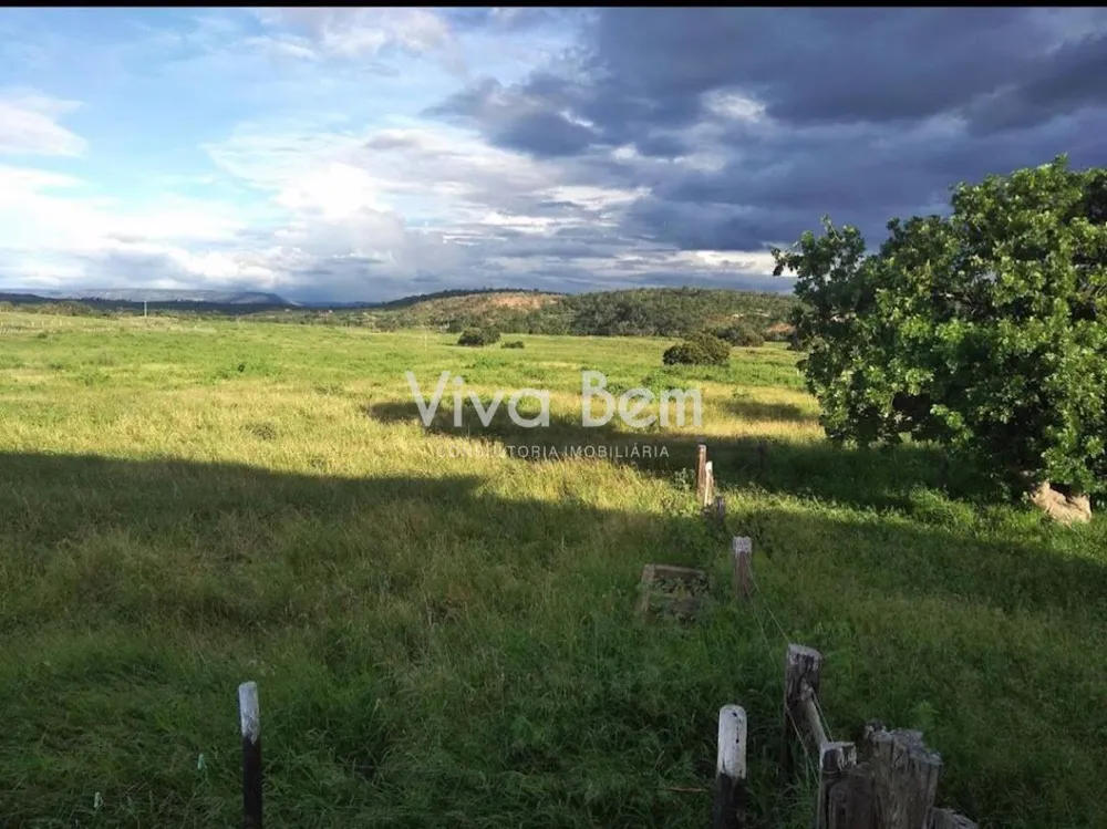 Fazenda, 59200 hectares - Foto 7