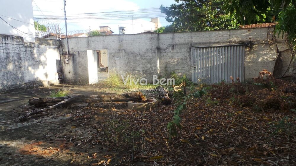 Casa para alugar com 4 quartos, 595 - Foto 3