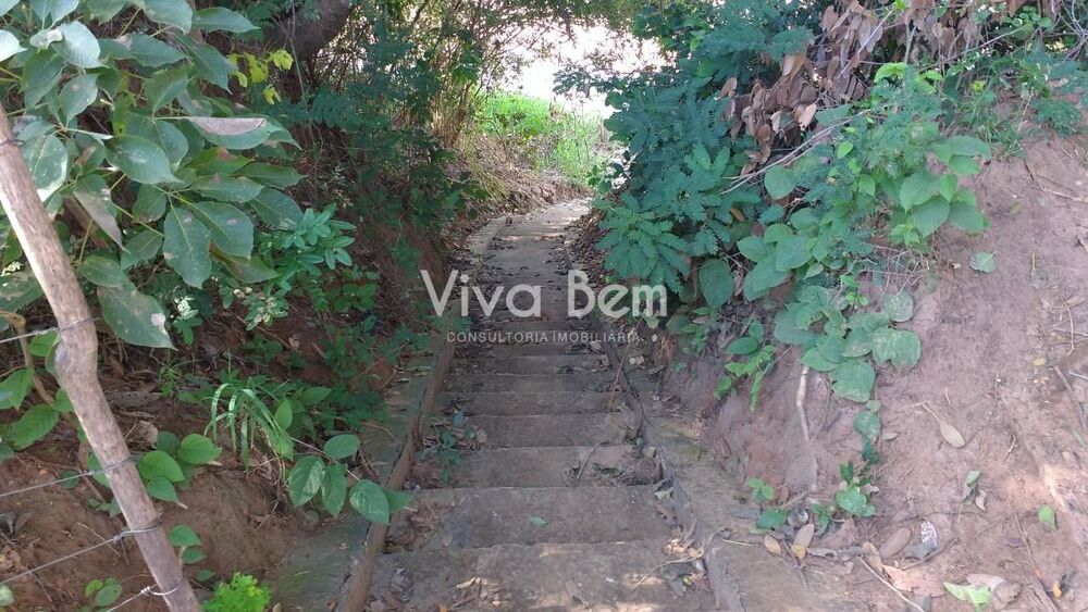 Chácara, 5 hectares - Foto 4