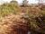 Terreno, 360 m² - Foto 8