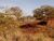 Terreno, 360 m² - Foto 5