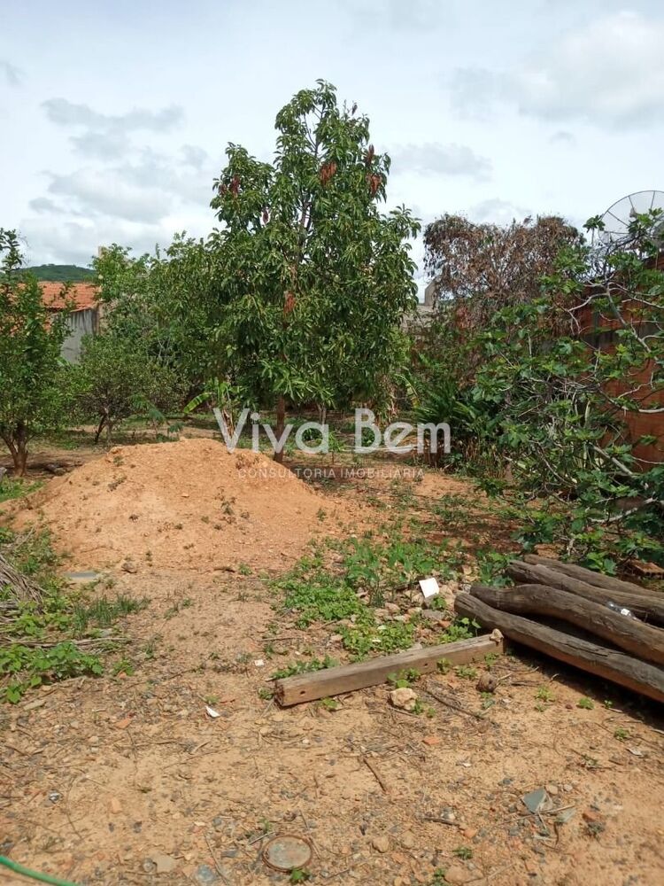 Terreno à venda, 450 - Foto 2