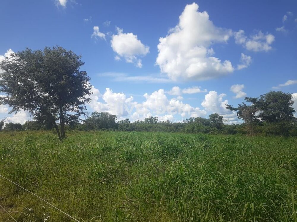Terreno, 4 hectares - Foto 7