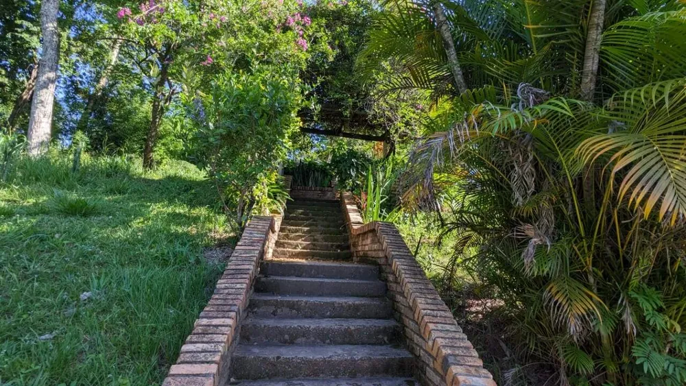 Sítio, 3 quartos, 6000 m² - Foto 6