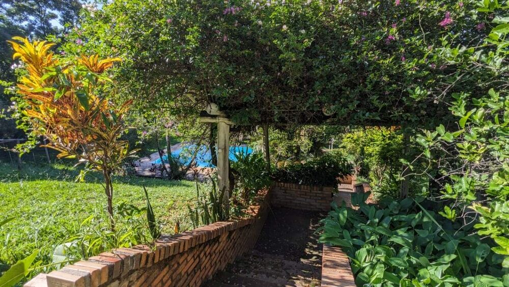 Sítio, 3 quartos, 6000 m² - Foto 1