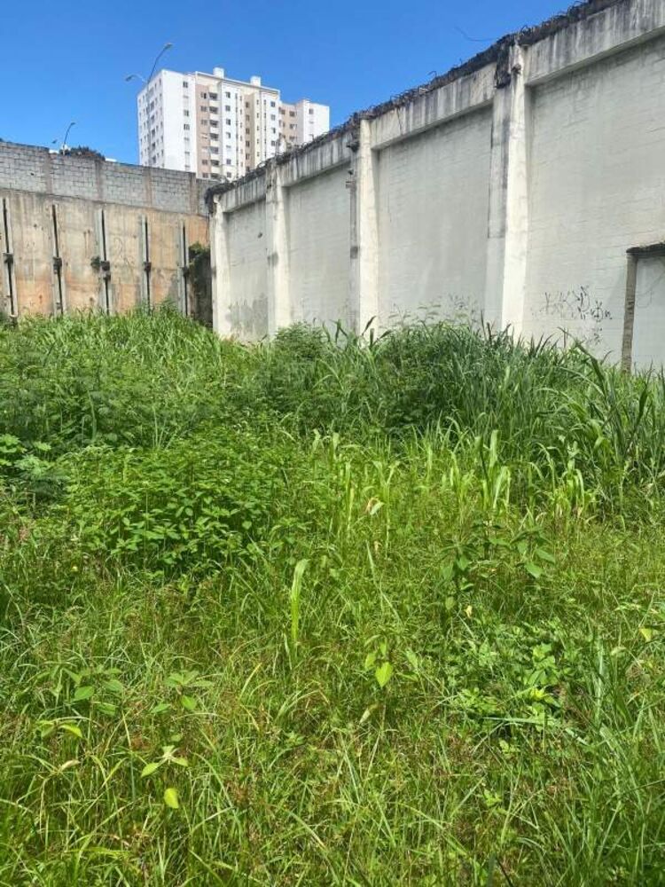 Terreno, 531 m² - Foto 3