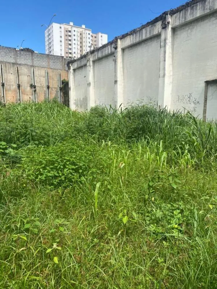 Terreno, 531 m² - Foto 9