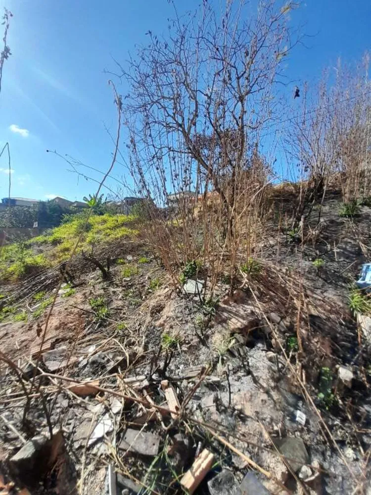 Terreno, 200 m² - Foto 4