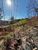 Terreno, 200 m² - Foto 3