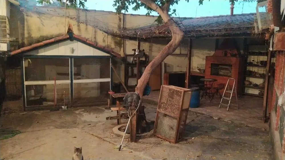 Casa, 3 quartos, 275 m² - Foto 4