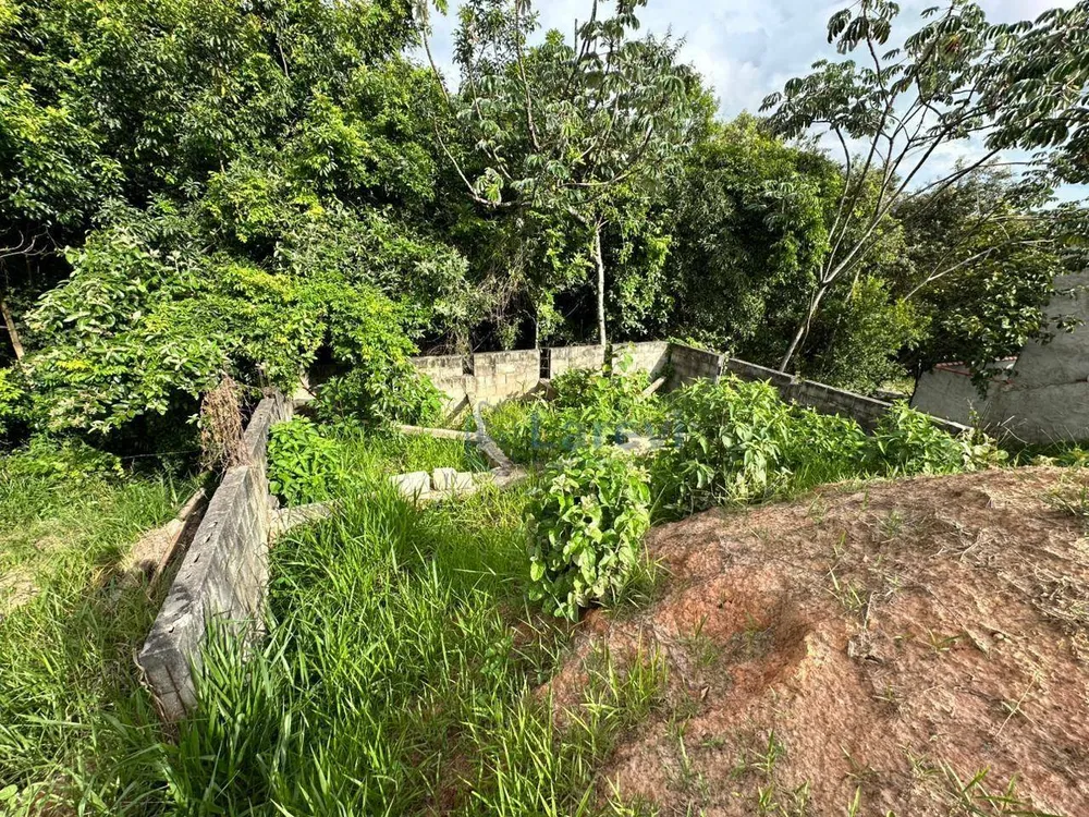 Terreno, 200 m² - Foto 4