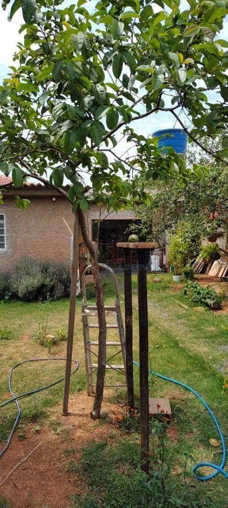 Chácara, 3 quartos, 1000 m² - Foto 7