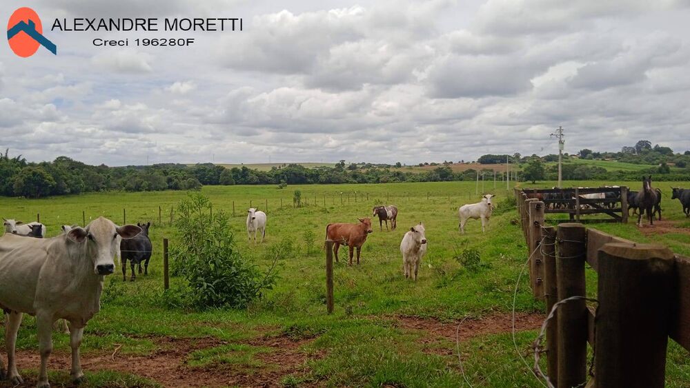 Terreno à venda, 18m² - Foto 3