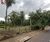 Terreno, 2 hectares - Foto 2