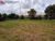 Terreno, 60 hectares - Foto 3