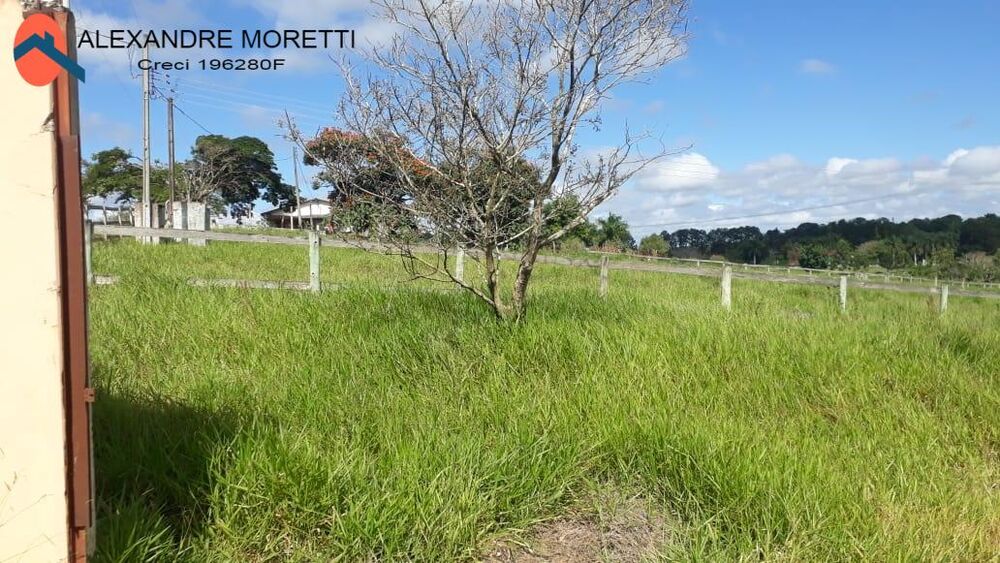 Terreno à venda, 1000m² - Foto 2