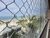 Apartamento, 4 quartos, 172 m² - Foto 3