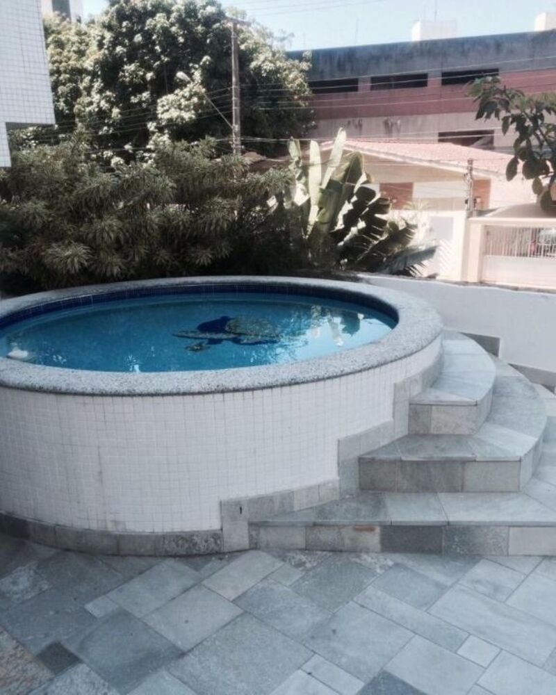 Apartamento, 3 quartos, 105 m² - Foto 5