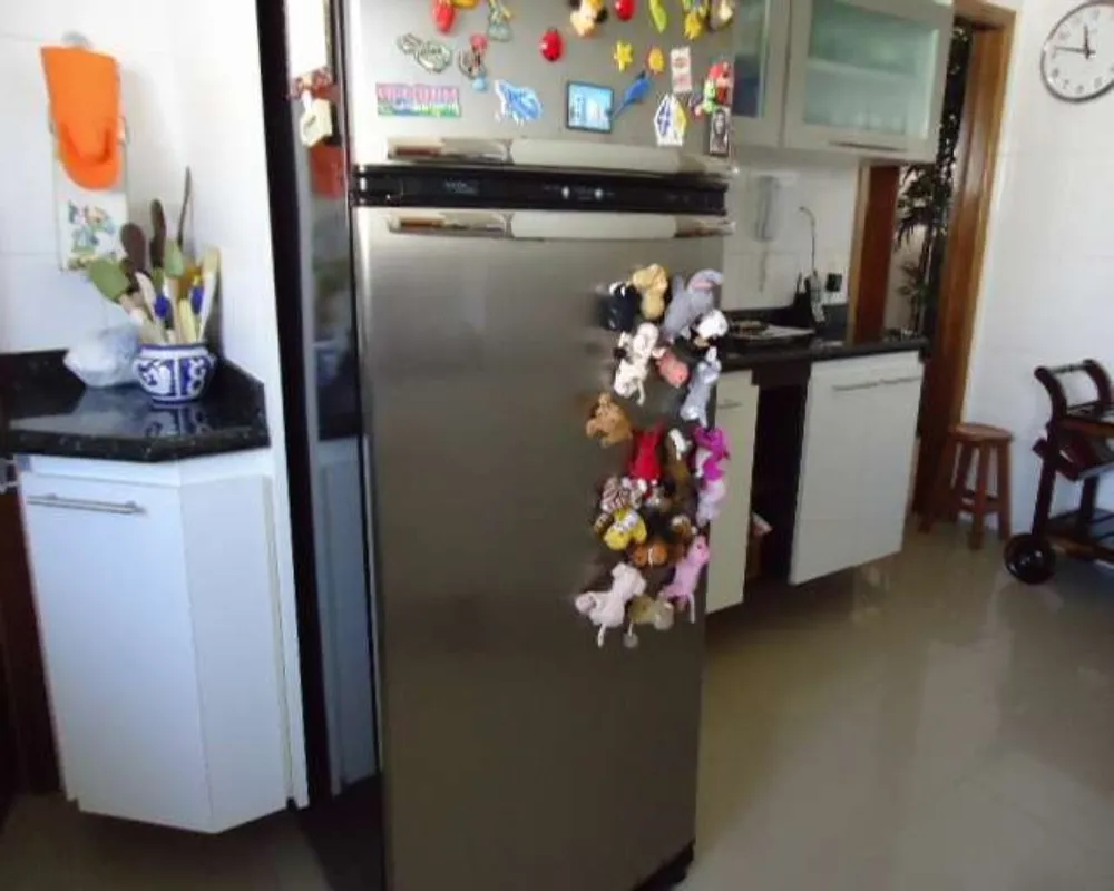 Apartamento, 4 quartos, 265 m² - Foto 12