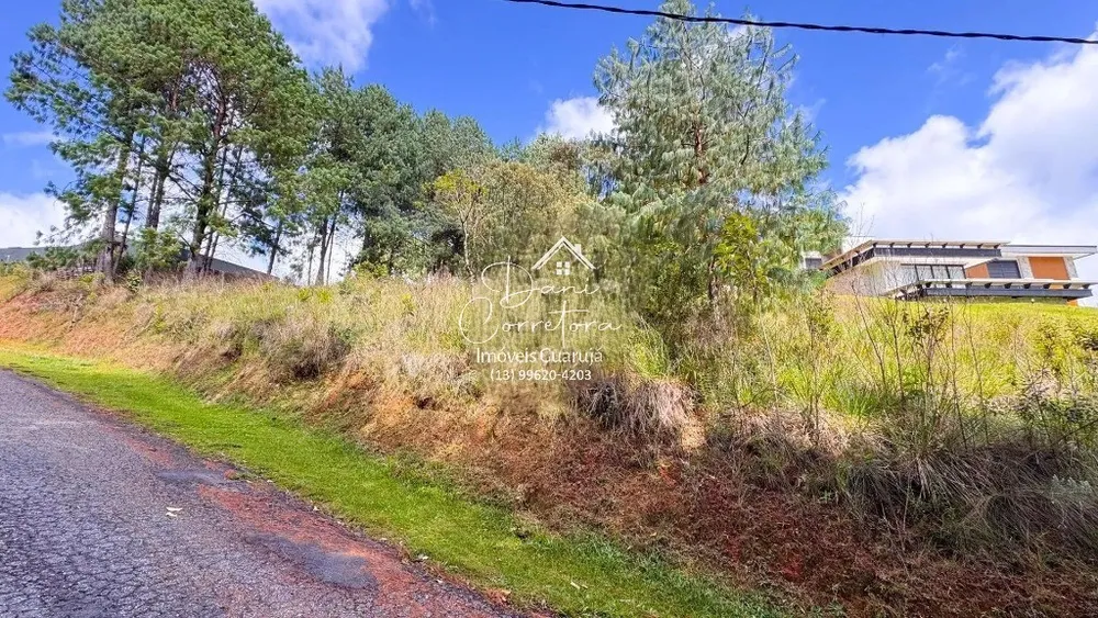 Terreno - Foto 2