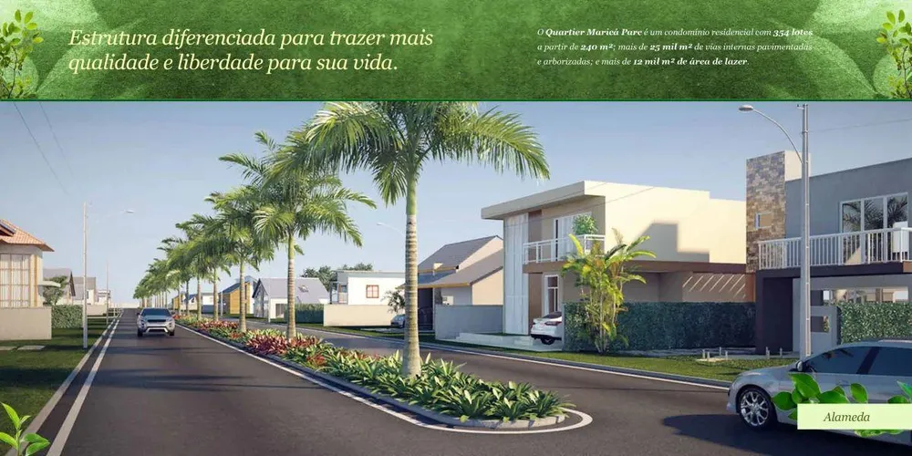 Terreno - Foto 5